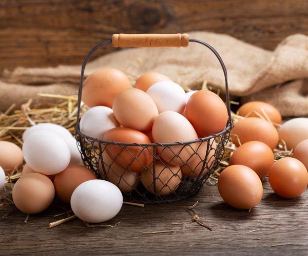 تخم مرغ حاوی بیوتین،مانع ریزش مو میشود.
